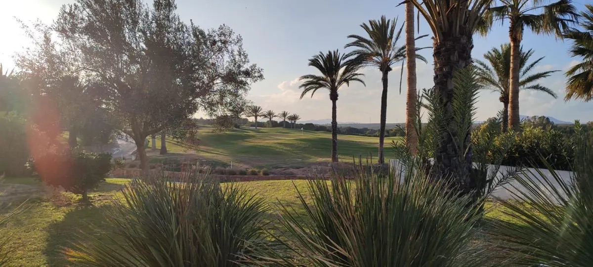 Panorama du golf à Djerba — parcours sous les palmiers en Tunisie