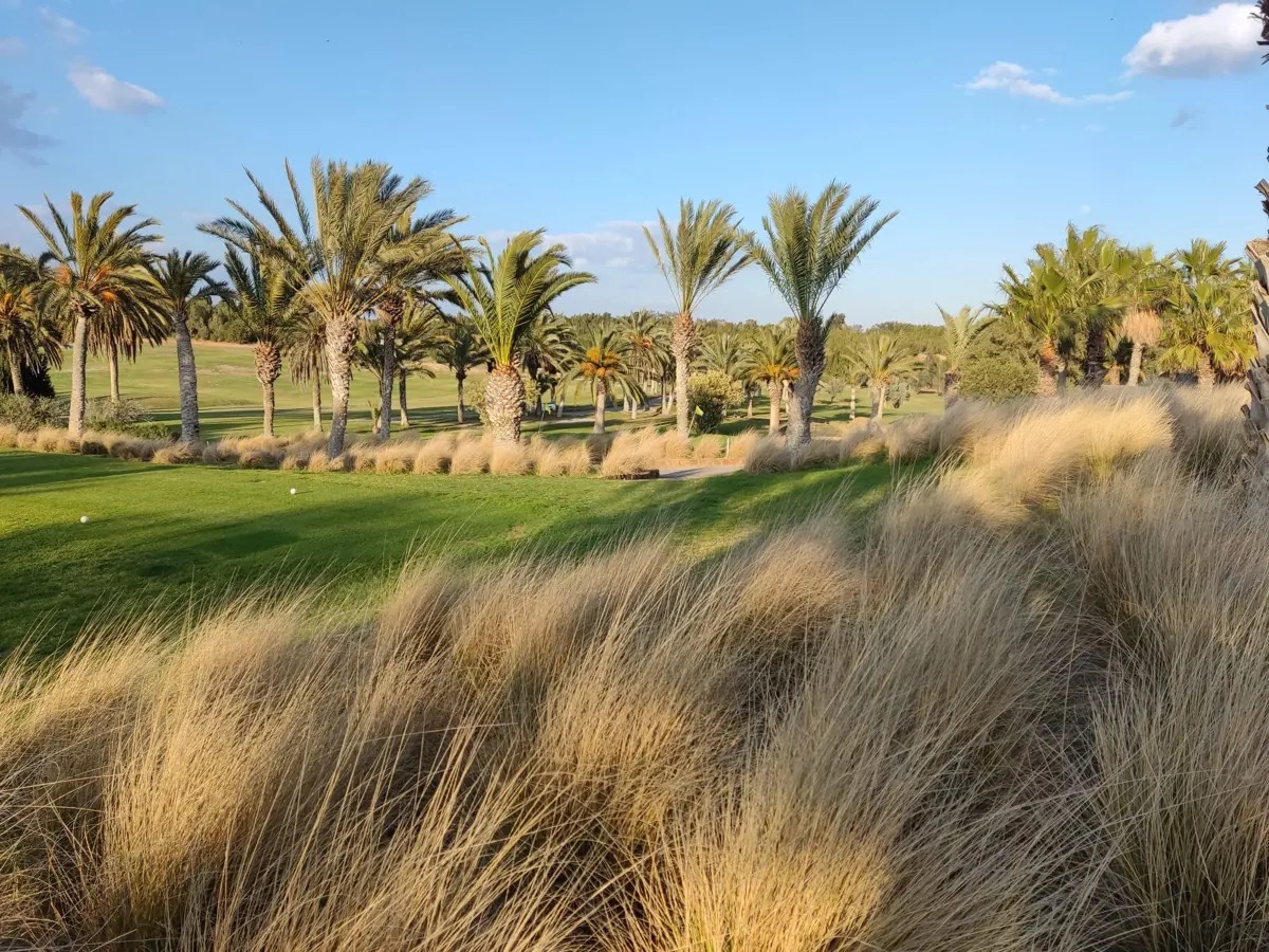 La Forêt — 18 trous Championship Citrus Golf